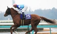 有馬記念はドラマティック。引退馬２頭か実力３歳馬が劇的結末を呼ぶ