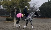【有馬記念】アエロリット 菊沢師「上手く息をいれられれば」