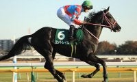 ホープフルＳは「ディープ産駒の最高傑作」中心。ハーツクライ産駒も侮れず