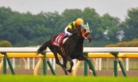 クロコスミア号が競走馬登録抹消
