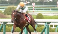 カンタービレ号が競走馬登録抹消