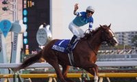 シュヴァルグラン号が競走馬登録抹消
