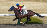 【新馬/阪神4R】エイシンフラッシュ産駒 パルディエスがデビュー勝ち！