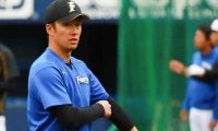 結婚発表の斎藤佑、トレードで復帰の12年MVP左腕…日ハムの20年カムバック候補