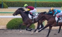【新馬/京都4R】エイシンシャンツェがデビューV！半兄にエイシンバッケン
