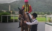 カラクレナイ号が競走馬登録抹消