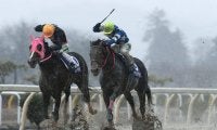 2019年度岩手競馬 年度代表馬はヤマショウブラック号！