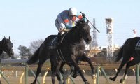 【東京新聞杯】プリモシーンが混戦に断！馬場の真ん中から突き抜ける