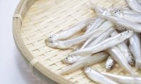 丸ごと食べよう！カルシウムの塊「ワカサギ」