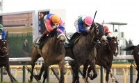 【ダイヤモンドS】超大穴飛び出す！単勝3万越え ミライヘノツバサが大接戦を制する