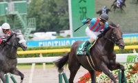 マルターズアポジー号が競走馬登録抹消