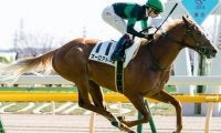 弥生賞で一発狙うなら、底が割れている馬より新馬勝ち馬に魅力あり