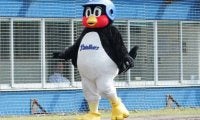 ヤクルトつば九郎もマスク姿で新型コロナ対策　ファン困惑「圧倒的な違和感」