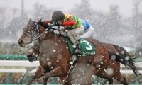 【中山牝馬S】フェアリーポルカが差し切り！重賞初制覇