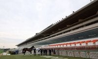 G1レース史上初の無観客競馬