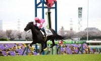 【中山7R】ビップウインクが連勝で2勝目！鋭い末脚を発揮