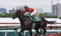 ナックビーナス号が競走馬登録抹消