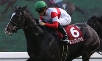 2020クイーンエリザベスステークス（G1）日本馬の近況（4月2日（木））