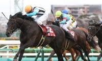 ガンコ号が競走馬登録抹消