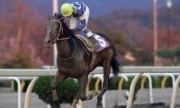 【水沢・赤松杯】転入初戦のランガディアが快勝
