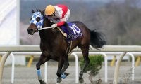 【水沢・留守杯日高賞】ボンボンショコラが優勝！