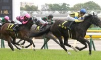 【スイートピーS】デゼルが無傷の2連勝でオークスへ