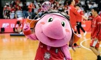 Bリーグマスコットオブザイヤー、千葉ジェッツのジャンボくんがV3で殿堂入り