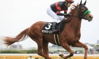 オークスで台風の目となるか。ホウオウピースフルは一発を秘める良血馬