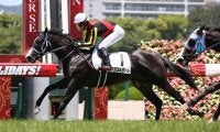 【新馬/阪神5R】アスコルターレがデビューV！ドゥラメンテ産駒JRA初勝利