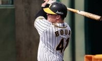 3戦連発の阪神助っ人に米メディアが再注目　「ボーアを覚えているか」
