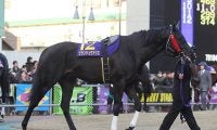 【高知優駿回顧】リワードアヴァロンの奇跡的快挙と高知競馬の今/斎藤修コラム