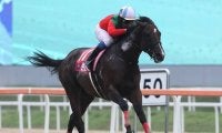 【JRA】コリアC連覇ロンドンタウンが引退、種牡馬となる予定