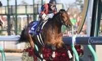 【帝王賞 選定馬更新】ルヴァンスレーヴ・ミツバの騎乗予定騎手が決定
