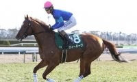 函館スプリントＳで美味な穴馬券。人気薄ベテランと昇級初戦の馬が味付け