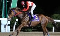 【佐賀がばいダッシュ】転入後無傷10連勝中！ ドラゴンゲートは8枠9番からの発走