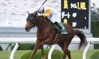 【本日の注目ポイント】阪神でハンデのOP特別・三宮S、各場の新馬戦にも注目