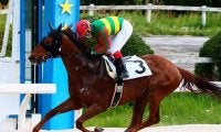 【JRA】ムーンリットエルフが予後不良の診断、東京1Rで競走中止