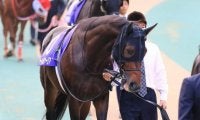 【宝塚記念】予想オッズは“3強”　サートゥルナーリアに牝馬2頭が続く