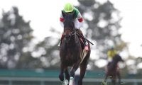 GI宝塚記念＆JpnI帝王賞に注目/今週の競馬界の見どころ