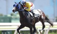 笹川翼騎手が地方競馬通算900勝を達成！TCK所属騎手でデビューから最速