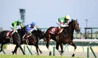 【宝塚記念】出走馬の調教後の馬体重