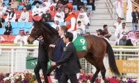 2020エクリプスステークス（G1）日本馬の近況（6月24日）
