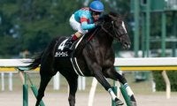 宝塚記念は地味な実力馬に要注意。人気馬に圧勝の再現をマジで狙う