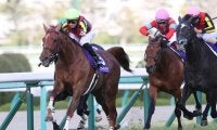 【宝塚記念】枠順と見どころ ラッキーライラックは6枠11番