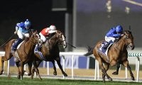 【仏・サンクルー大賞】ドバイSC覇者オールドペルシアン、チェコ所属馬ナガノゴールドなど5頭立て