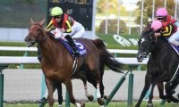 【宝塚記念予想】 サマーグランプリは脚が遅いほうが有利!? 競馬の真理と矛盾するその言葉の“真意”とは？/JRAレース展望