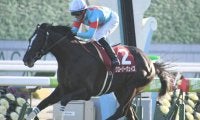 【宝塚記念予想】 有力馬4頭の順番づけが悩ましい夏のグランプリ/JRAレース展望