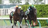 【プロキオンS想定】南部杯覇者サンライズノヴァ、芝重賞3勝エアスピネルなど