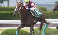 【門別競馬情報】JRA在籍時に重賞勝ちの実績馬も2頭！各馬、いまも頑張って走ってます「ハービンジャー・プレミアム」/地方競馬情報