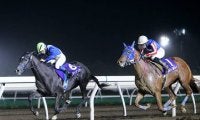 【門別・栄冠賞回顧】サイダイゲンカイ　接戦を制し人気に応えた勝利/田中哲実コラム